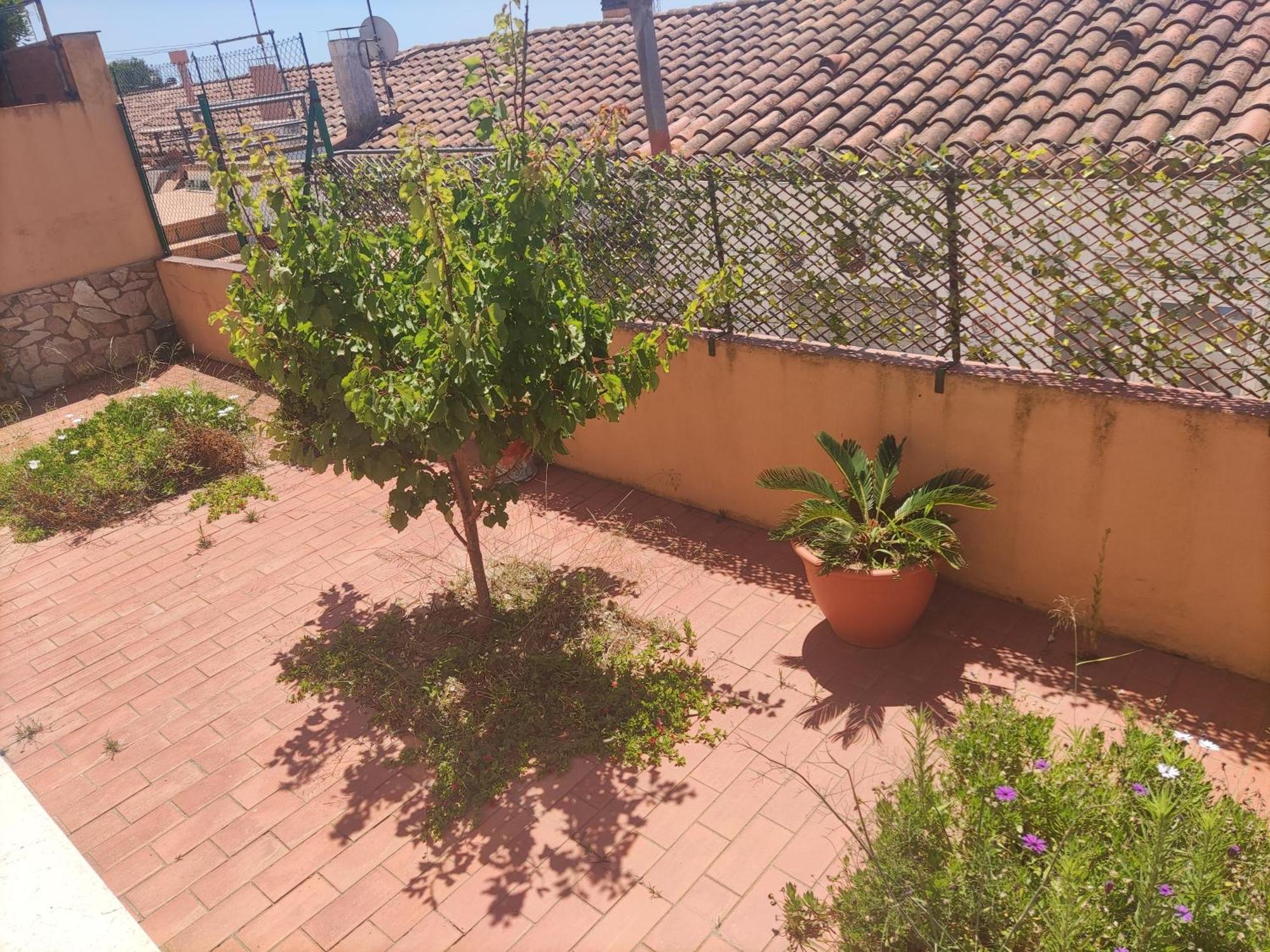 Habitacion Doble Palafrugell Eksteriør billede