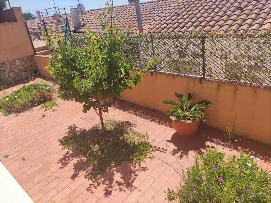 Habitacion Doble Palafrugell Eksteriør billede